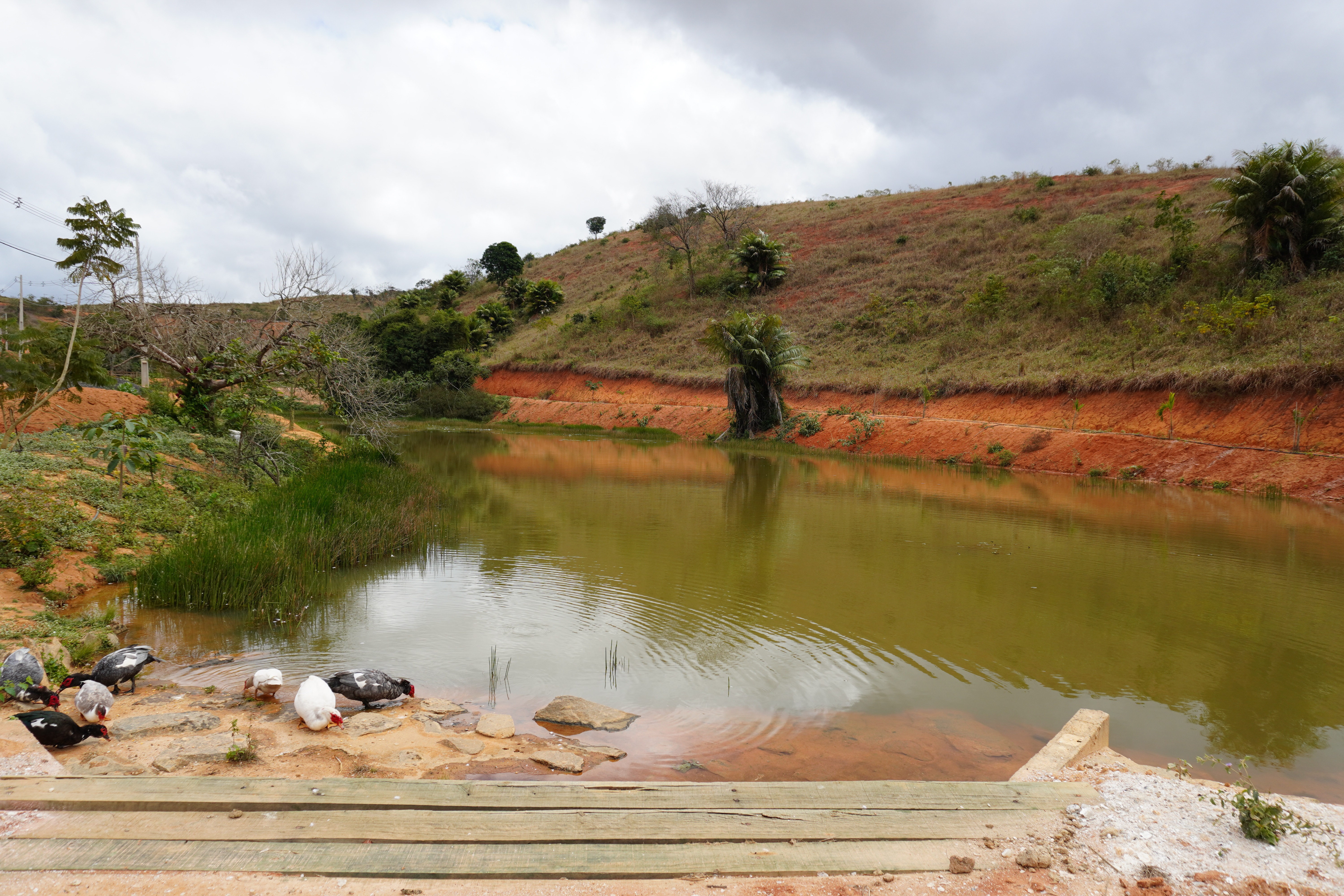 Lagoas para pesca
